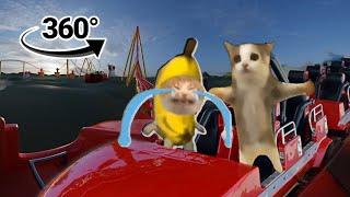 When Happy cat and Banana cat Ride a Rollercoaster | 360° degree VR video