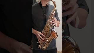 ALL MY FELLAS️ #allmyfellas #alto #saxophone #cover