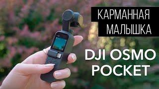 DJI OSMO Pocket. 7 месяцев спустя!