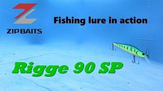 Zip Baits Rigge 90 Sp underwater footage and lure action