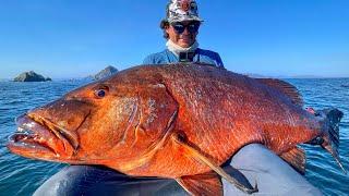 LA MEJOR CAPTURA DE MI VIDA! | Pargo Cubera Gigante!