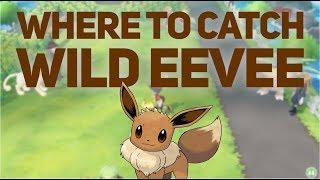 Where to Catch Wild EEVEE in Pokemon Let's GO!