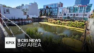 San Francisco sues developer over stagnant pond on vacant lot