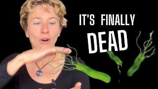 3 Simple Steps to Kill Helicobacter Pylori