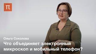 Исследование структуры мембранных белков — Ольга Соколова