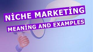 Niche marketing meaning and  Examples