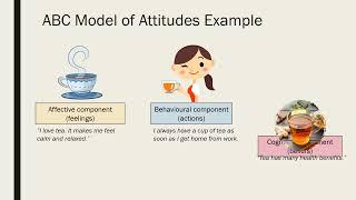 ABC Model of Attitudes