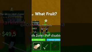 what fruit? #bloxfrut #roblox #reels #world