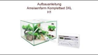 Aufbauanleitung Ameisenkomplettset Ameisenfarm H1 & 3XL