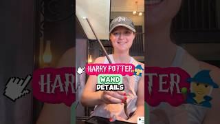 What Comes With a $60 Harry Potter Wand? 🪄 (Universal Orlando Wizarding World Merch)