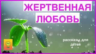 ЖЕРТВЕННАЯ ЛЮБОВЬ/ рассказы для детей/ читаю с радостью/ христианские рассказы