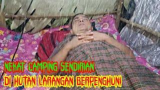 Nekat camping sendirian di hutan larangan yang berpenghuni