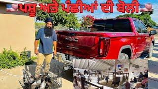 ਕੈਲੀਫੋਰਨੀਆ ਵਿੱਚ ਪਸ਼ੂ ਅਤੇ ਪੰਛੀਆਂ ਦੀ ਬੋਲੀ / Pet Aution In America / Farm Video