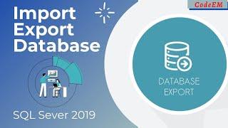 Export & Import Database From SQL Server 2019