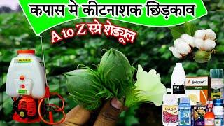 कपास में संपूर्ण स्प्रे शेड्यूल | Kapas me insecticide spray | Full Schedule | Kapas mein best dwai