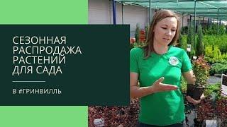 Распродажа садовых растений в #Гринвилль!  Скидки до 50 %