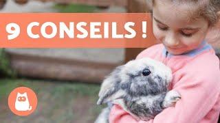 Comment GAGNER la CONFIANCE d'un LAPIN ?  (9 conseils clés)