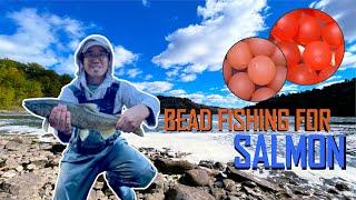 October Salmon Fishing at Niagara Whirlpool | Utilizing Beads!