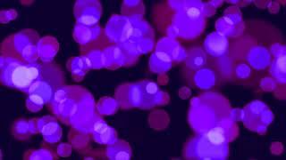 Abstract Purple Bokeh Background - 1 Hour