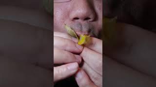 Eating a Goldenberry ASMR The Sweet and Tart Explosion!