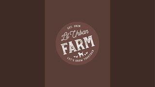 Lil Urban Farm is live!