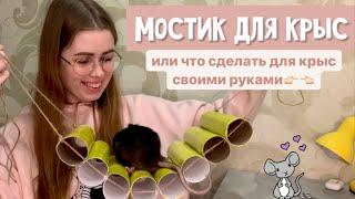 DIY: ЧТО СДЕЛАТЬ ДЛЯ КРЫС СВОИМИ РУКАМИ | ДЕЛАЕМ МОСТИК ДЛЯ КРЫС 