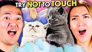 Fluffiest Things In The World! (Puppies & Kittens) - Try Not To Touch