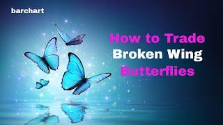 How to Trade Broken Wing Butterflies