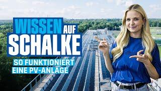 Wissen auf Schalke: So funktioniert die neue Photovoltaik-Anlage