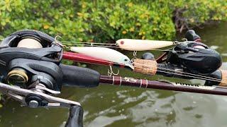 PESCA DE PARGOS Y ROBALO EN EL MANGLAR "ACCIDENTE DE PESCA"