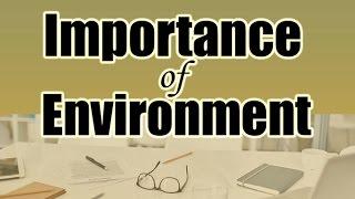 How Environment Affects Your Productivity | How To Create a Productive Working Environment