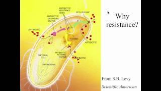 Venkatraman Ramakrishnan: How Antibiotics Block the Ribosome, the Cell’s Protein Factory