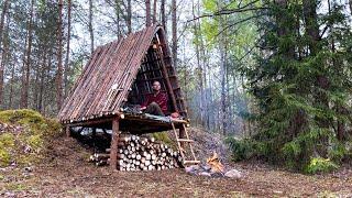 Three days in a wild forest!  Building a Bushcraft to survive in the wild. Cooking food over fire.