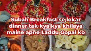 Subah Naste se lekar Raat ke khane tak kya kya bhog lagaya maine Thakur ji ko #housewifevlogs #vlog