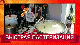 ПАСТЕРИЗАЦИЯ МОЛОКА для сыра нужна ли она и зачем? Как пастеризовать молоко  в домашних условиях?