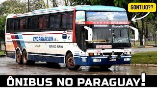 MUITOS ÔNIBUS DIFERENTES NO PARAGUAI - SUPER MOVIMENTO EM CIUDAD DEL ESTE