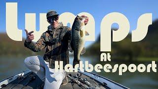 Fishing The Forgotten Dam For Giant Largemouth Bass | Hartbeespoort Dam