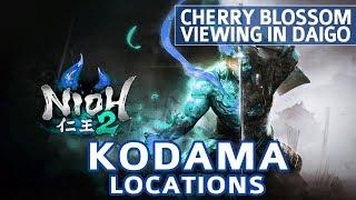 Nioh 2 - Cherry Blossom Viewing in Daigo All Kodama Locations