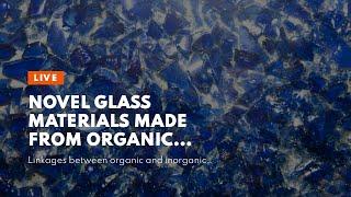 Novel glass materials made from organic and inorganic components