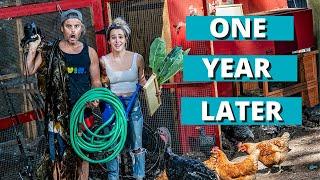 NO GROCERIES FOR AN ENTIRE YEAR!!  //  LIVING OFF THE LAND