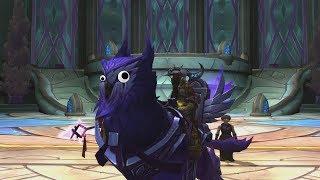 The Story of High Priest's Lightsworn Seeker - Patch 7.2 Priest Class Mount [Lore]