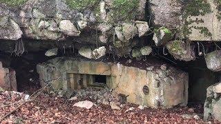 WWII Bunkers Along the Siegfried Line (German Westwall)