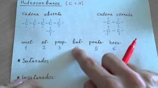 Hidrocarburos (formulación orgánica)