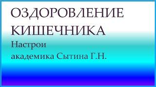 Оздоровление кишечника   Настрои академика Сытина Г.Н.