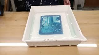 Bostick and Sullivan's Guide to Cyanotype Printing