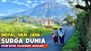 SURGA DUNIA !! PEMANDANGAN ALAM DESA NEPAL VAN JAVA DI GUNUNG SUMBING - Cerita Desa Butuh, Magelang