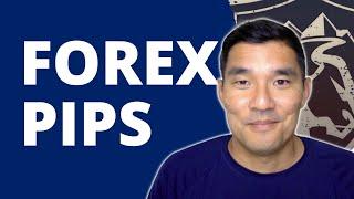 What is a Pip in Forex?