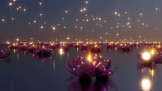 The Festival Of Light Deepavali Diwali Background Videos Free Stock Videos without watermark Dheeraj