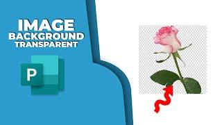 How to make image background transparent in publisher