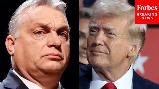 'Very Powerful, Tough Leader': Donald Trump Praises Hungarian PM Viktor Orbán During RNC Speech